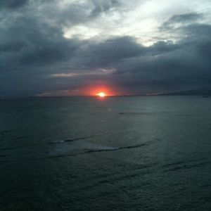 Meet your Posher, Celia